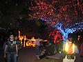 ZooLights 12